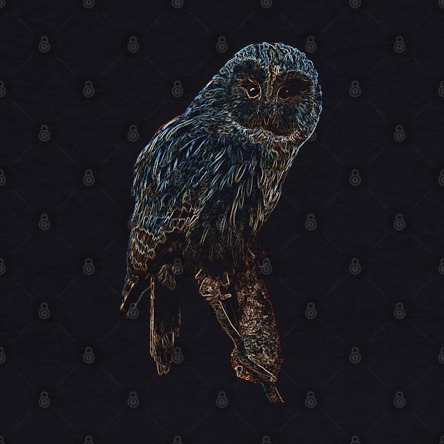 owl, owl colored by hottehue